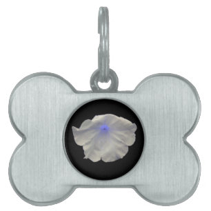 Placa Para Mascotas Etiqueta de mascota de brillo azul de Petunia