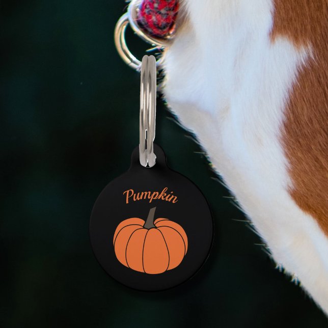 Placa Para Mascotas Etiqueta de mascota de calabaza (Pumpkin Pet Tag)