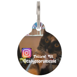 Placa Para Mascotas Etiqueta de mascota de Calypso en Ato 8-10 por HCH