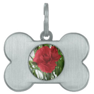 Placa Para Mascotas Etiqueta de mascota de carnación roja