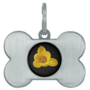 Placa Para Mascotas Etiqueta de mascota de crocus amarillo