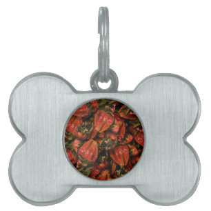 Placa Para Mascotas Etiqueta de mascota de fresas