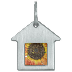 Placa Para Mascotas Etiqueta de mascota de girasol naranja