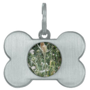 Placa Para Mascotas Etiqueta de mascota de gramíneas silvestres