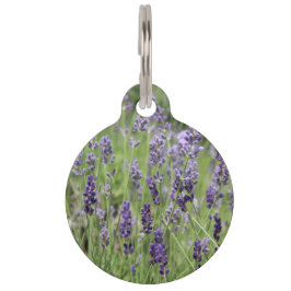 Placa Para Mascotas Etiqueta de mascota de lavanda