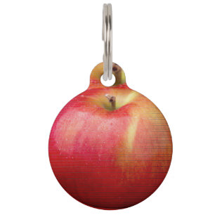 PLACA PARA MASCOTAS ETIQUETA DE MASCOTA DE MANZANA ROJA DELICIOSA
