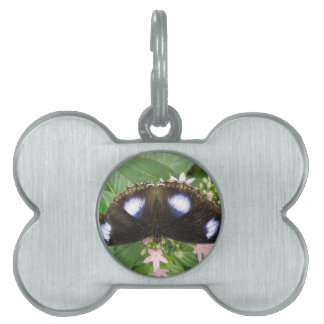 Placa Para Mascotas Etiqueta de mascota de mariposa con manchas azules
