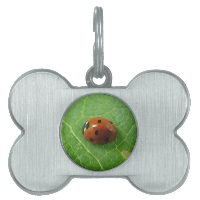 Placa Para Mascotas Etiqueta de mascota de parásitos (Frente)