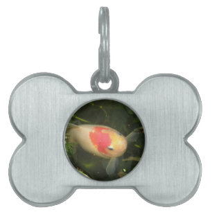 Placa Para Mascotas Etiqueta de mascota de peces dorados