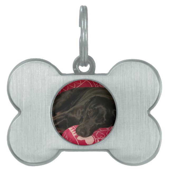 Placa Para Mascotas Etiqueta de mascota de perro dormido (Frente)