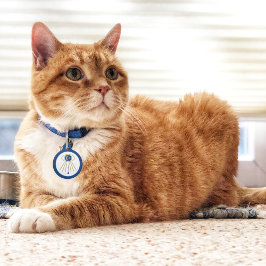 Placa Para Mascotas Etiqueta de mascota Evil Eye Moet