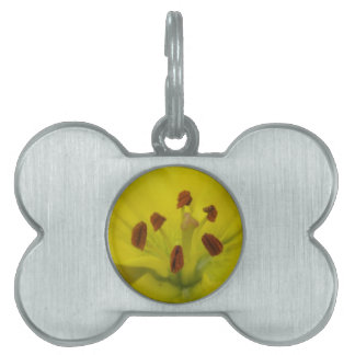 Placa Para Mascotas Etiqueta de mascota floral amarilla