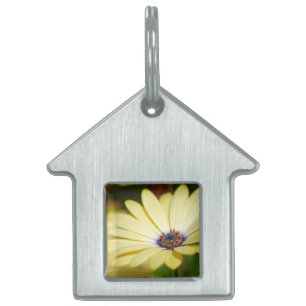 Placa Para Mascotas Etiqueta de mascota floral en blanco