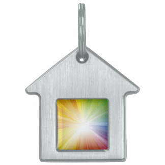 Placa Para Mascotas Etiqueta de mascota / Luz de Jesús