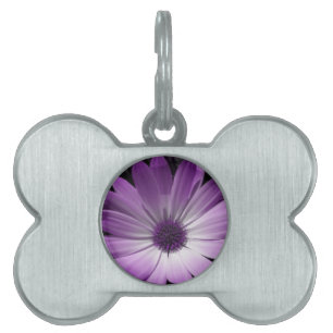 Placa Para Mascotas Etiqueta de mascota morada de margarita
