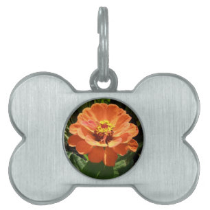 Placa Para Mascotas Etiqueta de mascota naranja Zinnia