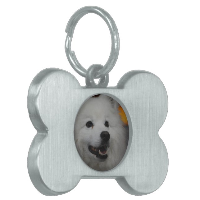 Placa Para Mascotas Etiqueta de mascota - Personalizada (Frente Izquierda)