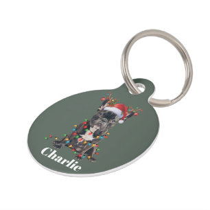 Placa Para Mascotas Etiqueta de Mascota Redonda