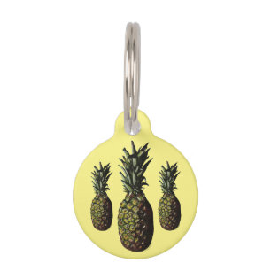 Placa Para Mascotas Etiqueta de mascota redonda de piña