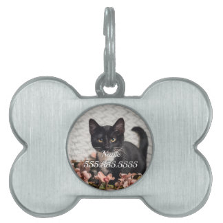 Placa Para Mascotas Etiqueta de mascota Rosa de bonito Bella