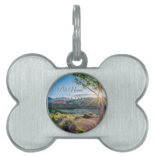 Placa Para Mascotas Etiqueta De Mascota Sunburst Del Jardín De Los Dio