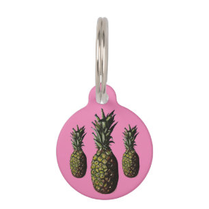 Placa Para Mascotas Etiqueta de mascotas redondas de piña - Personaliz