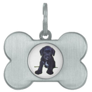 Placa Para Mascotas Etiqueta de página