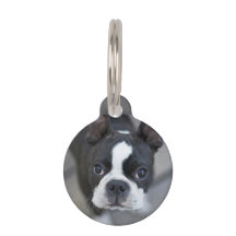 Etiqueta de perro bulldog francés Frenchie gato