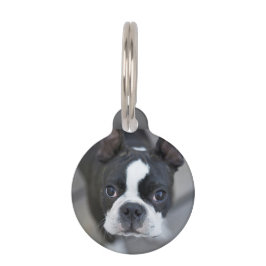 Placa Para Mascotas Etiqueta de perro bulldog francés Frenchie gato