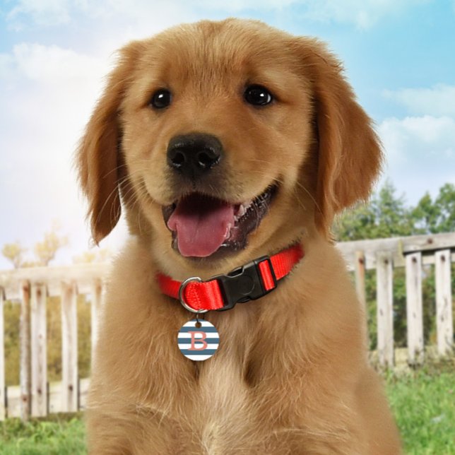 Placa Para Mascotas Etiqueta de perro de identificación de monograma a (Subido por el creador)