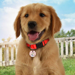 Placa Para Mascotas Etiqueta de perro de la identificación del monogra
