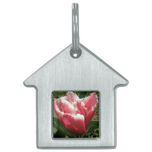 Placa Para Mascotas Etiqueta de tulipanes rosados