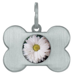 Placa Para Mascotas Etiqueta del cuello de perro del *Daisy*