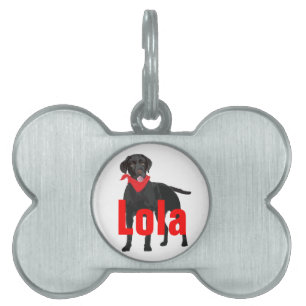 Placa Para Mascotas Etiqueta del mascota con el labrador retriever