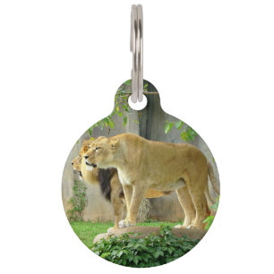 Placa Para Mascotas Etiqueta del mascota de la leona del león