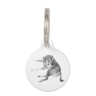 Placa Para Mascotas Etiqueta Divertida de Cachorro