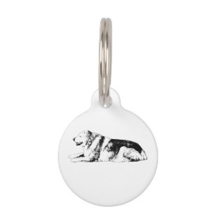 Placa Para Mascotas Etiqueta Edge, ID nítido