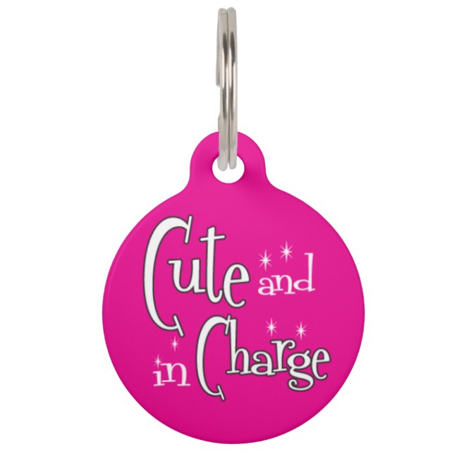 Placa Para Mascotas Etiqueta linda y responsable de la identificación (Anverso)