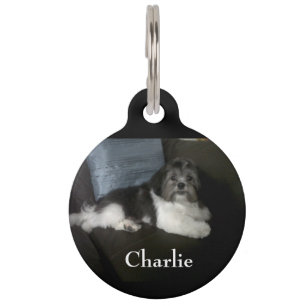 Placa Para Mascotas Etiqueta mascota personalizada