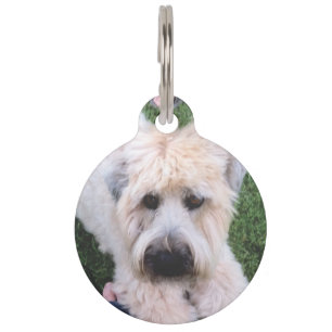 Placa Para Mascotas Etiqueta mascota personalizado 2020
