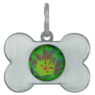 Placa Para Mascotas Etiqueta Mystic Green Tulip Pet
