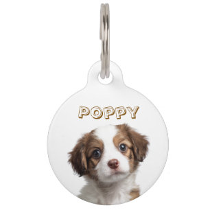 Placa Para Mascotas Etiqueta para Mascota con Foto y Nombre de Perro P