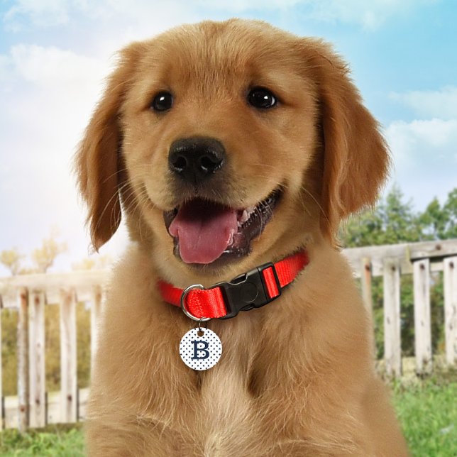 Placa Para Mascotas Etiqueta personalizada de identificación de perro  (Subido por el creador)