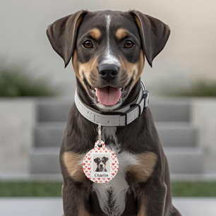 Placa Para Mascotas Etiqueta Personalizada Moderna para Perro de San V