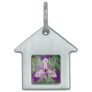Placa Para Mascotas Etiqueta Púrpura Iris Pet