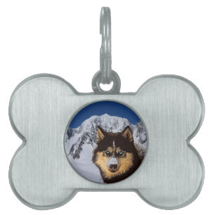 Placa Para Mascotas Etiqueta Siberian Husky Pet ID