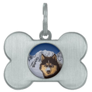 Placa Para Mascotas Etiqueta Siberian Husky Pet ID