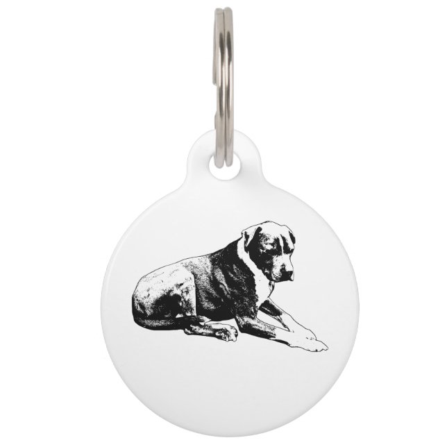 Placa Para Mascotas Etiqueta Sólida y Segura (Anverso)