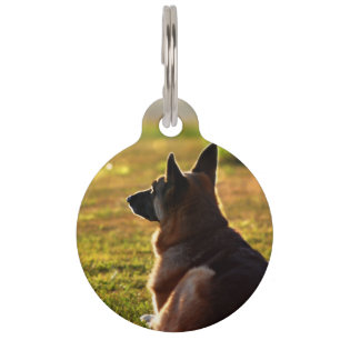 Placa Para Mascotas Etiquetas conmemorativas de la mascota del pastor 