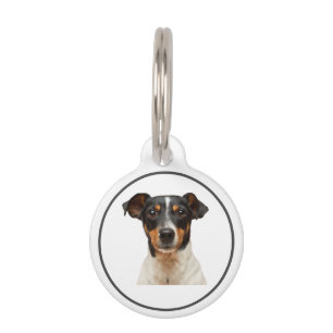 Placa Para Mascotas Etiquetas de identificación de perro personalizado